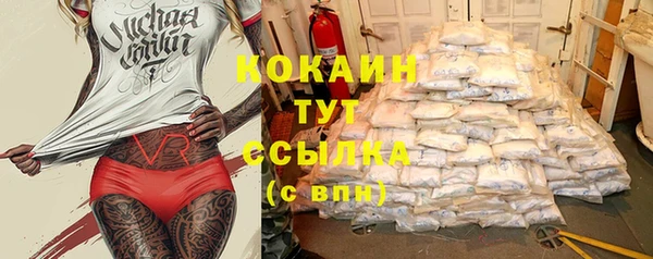 СК Белокуриха