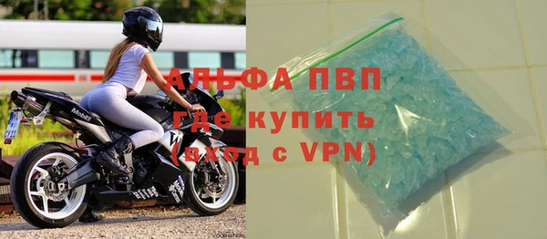 СК Белокуриха