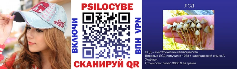 продажа наркотиков  Черемхово  Псилоцибиновые грибы MAGIC MUSHROOMS 